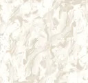 Pigeon On White