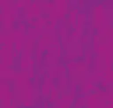Fuscia
