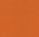 Canyon Orange