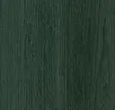 Deep Evergreen