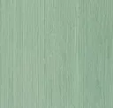 Eucalyptus Veil