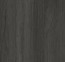 Midnight Oak