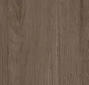 Umber Oak
