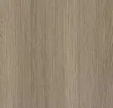 Cocoa Oak