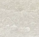 Dove