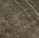 Ariel Desert Gloss