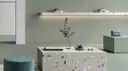 Salvia