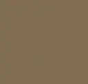 Light Bronze