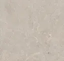 Bone