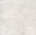 Perle