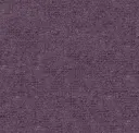 Rays Of Violet