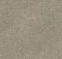 Touch Of Grey