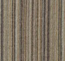 Bark
