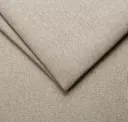 3 Fossil
