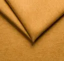 12 Mango