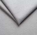 20 Silver