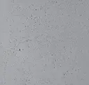 200 Natural Grey