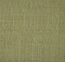08 Olive