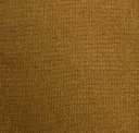 09 Camel