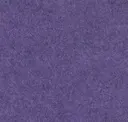 Flm01