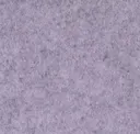 Flm02