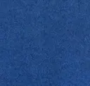 Flm04
