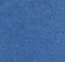 Flm05