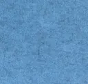 Flm06