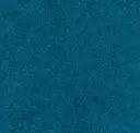 Flm08