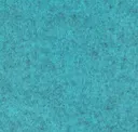 Flm10