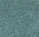 Flm12