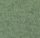 Flm13