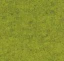 Flm16