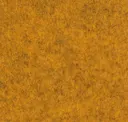 Flm17