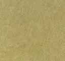 Flm43
