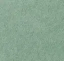 Flm45