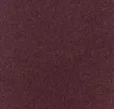 Flm46