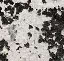 Zb0306