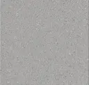 Light Cool Grey