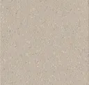 Bone