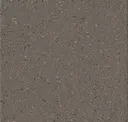 Grey Brown