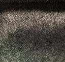 Black Golddust