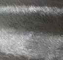 Champagne Silverdust
