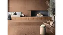 Terra