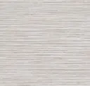 Birch
