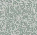 Lichen