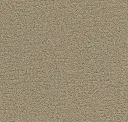 Pumice