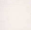 Cool Porcelain White
