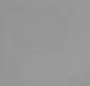 Cool Grey