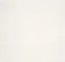 Cool Porcelain White